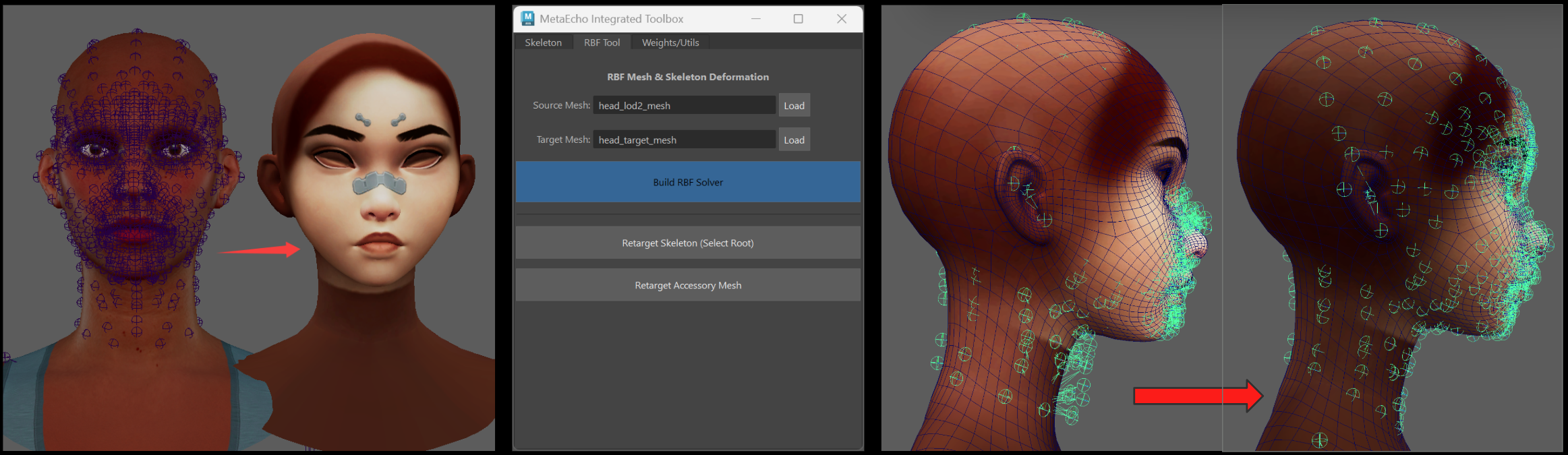 Meta Echo RBF tool interface